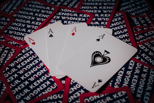 Casino-11641