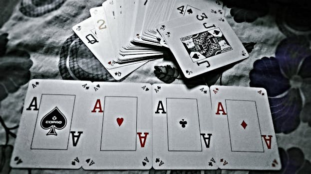 Casino-12449