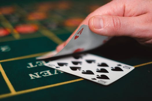 Casino-7337